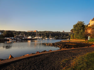 Autumn in Regatta Point