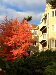 A Beautiful Morning in Regatta Point